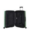 valise samsonite upscape 143109 stone green